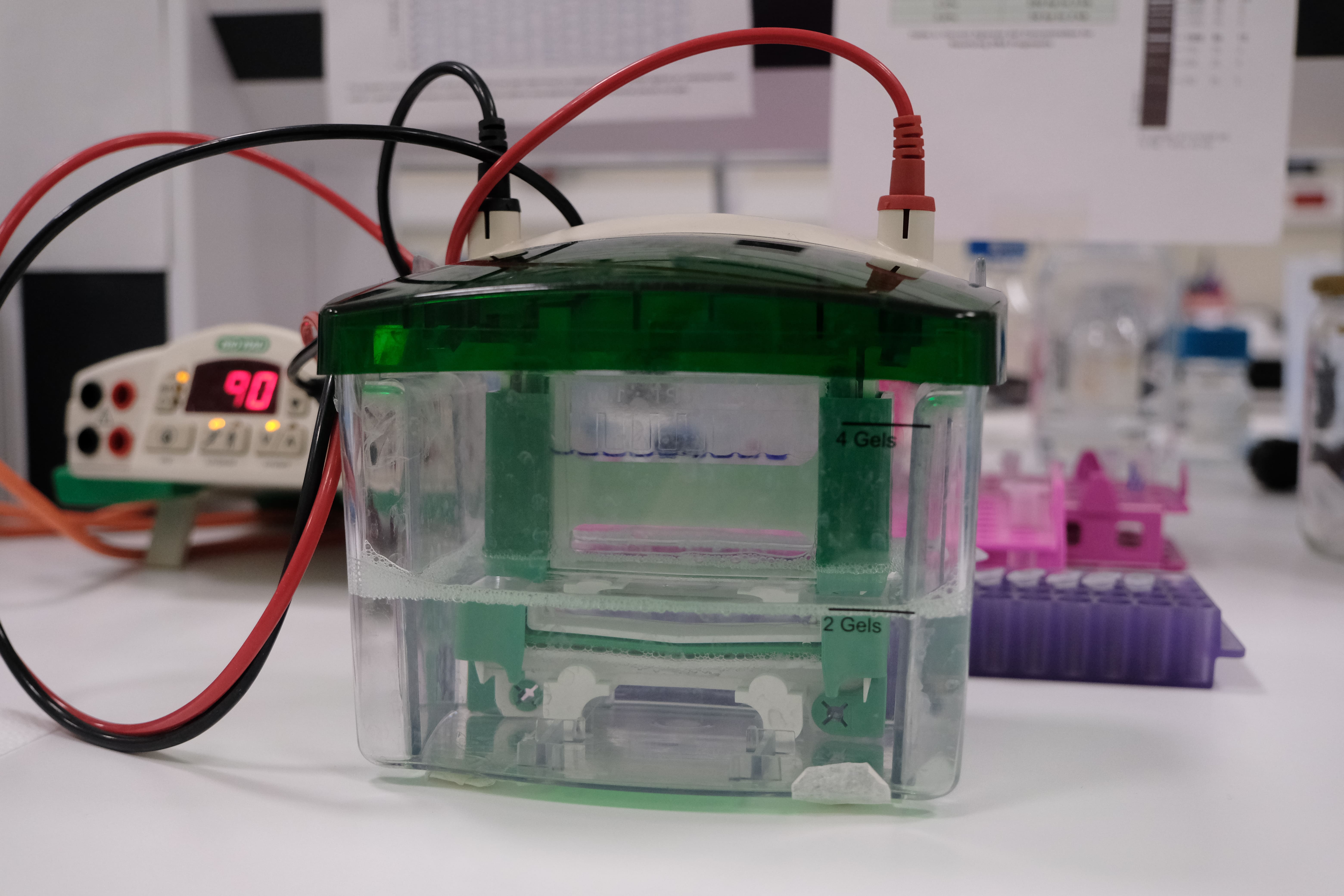 Lab work